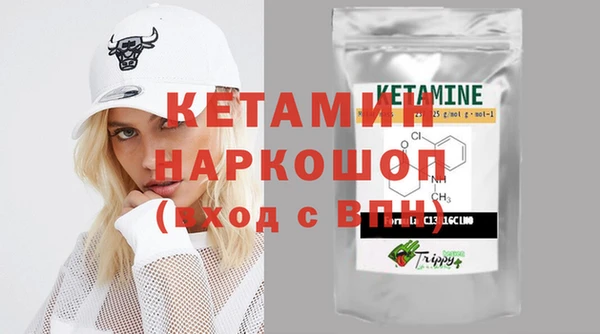 хмурый Няндома