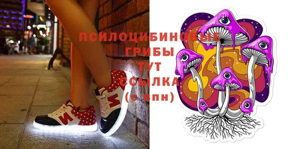 марки lsd Абаза